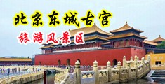 操逼爽死了啊啊啊视频中国北京-东城古宫旅游风景区